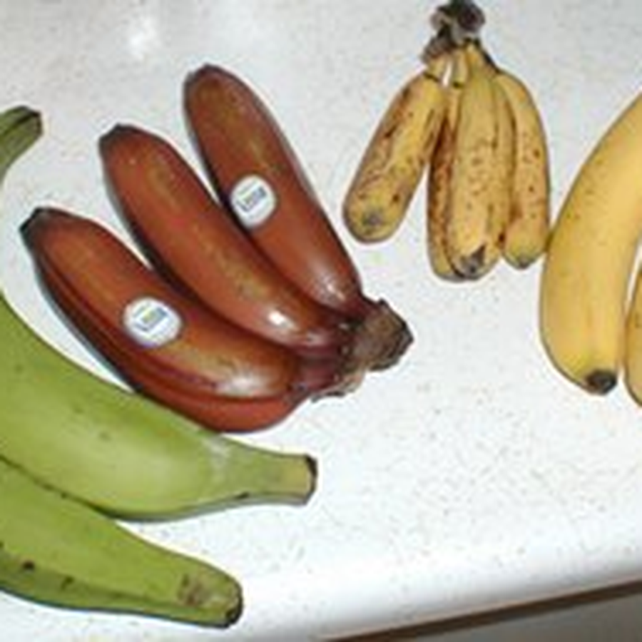 Organic Banana