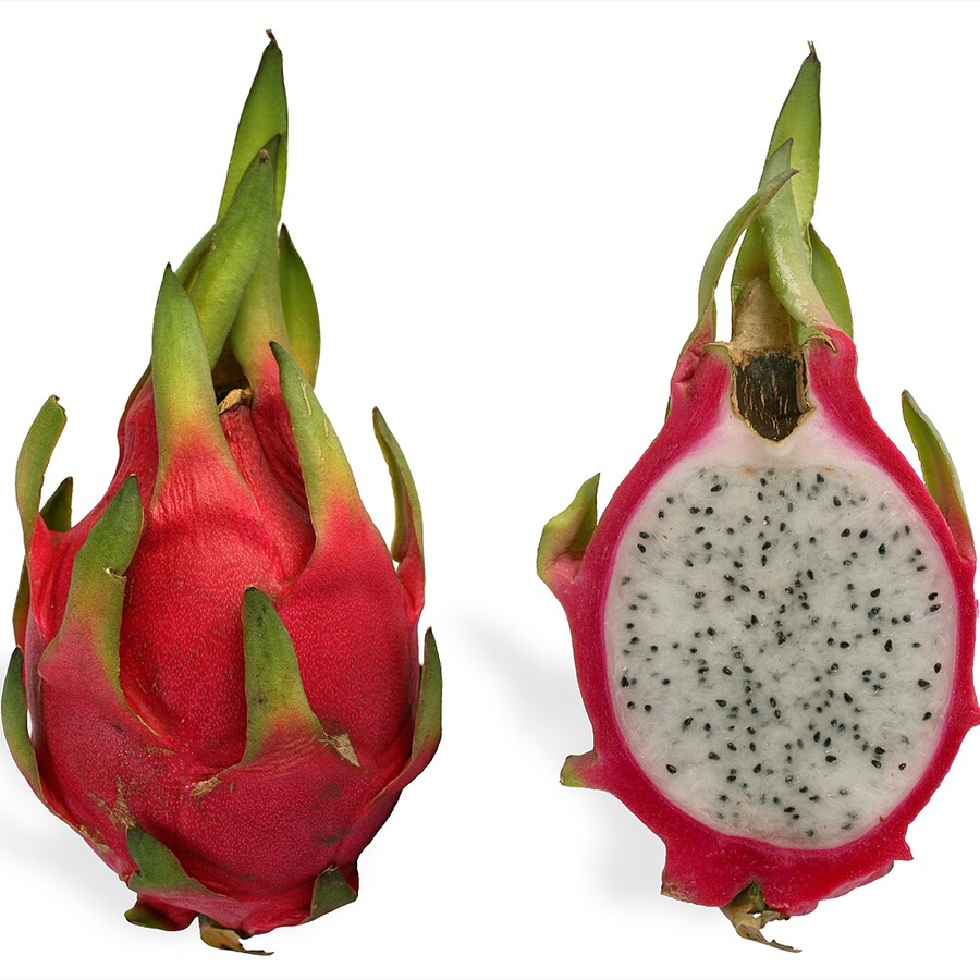 Organic Dragon Fruit