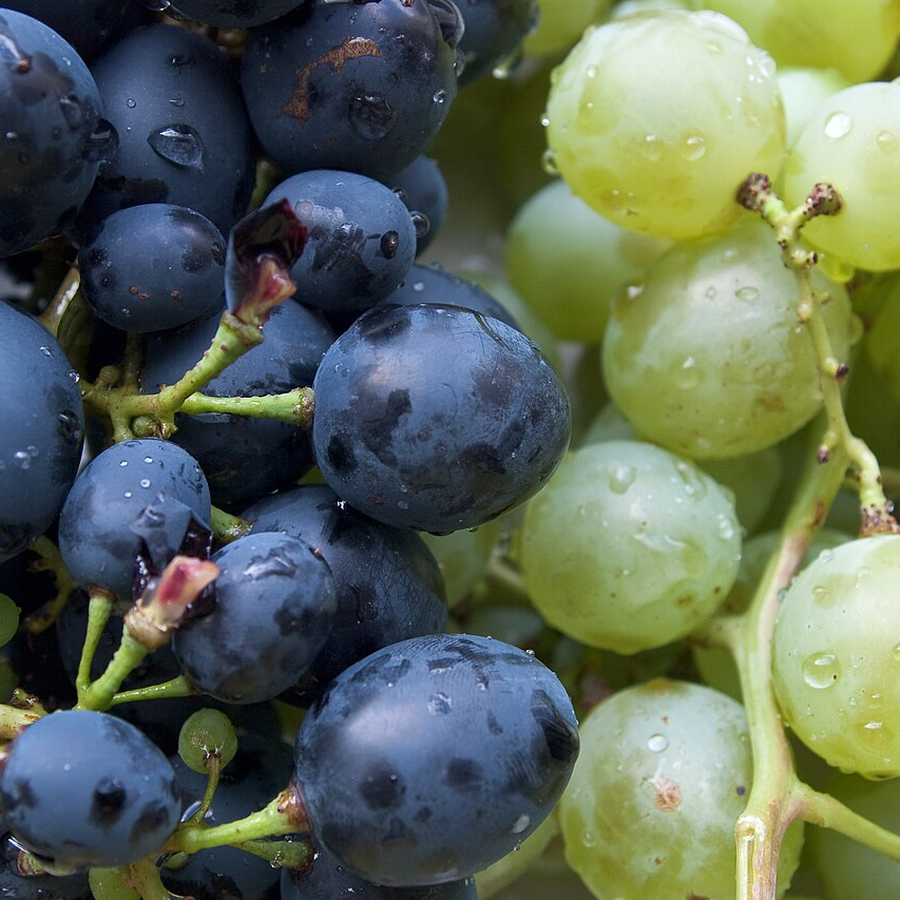 Organic Green Grapes