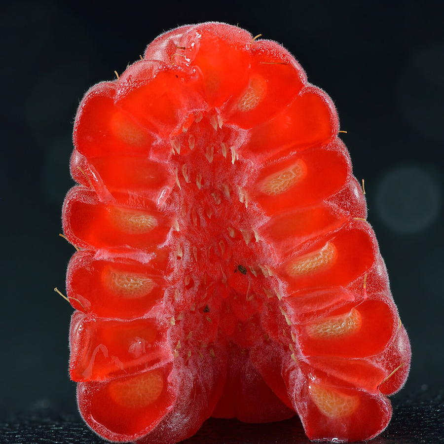 Organic Raspberry
